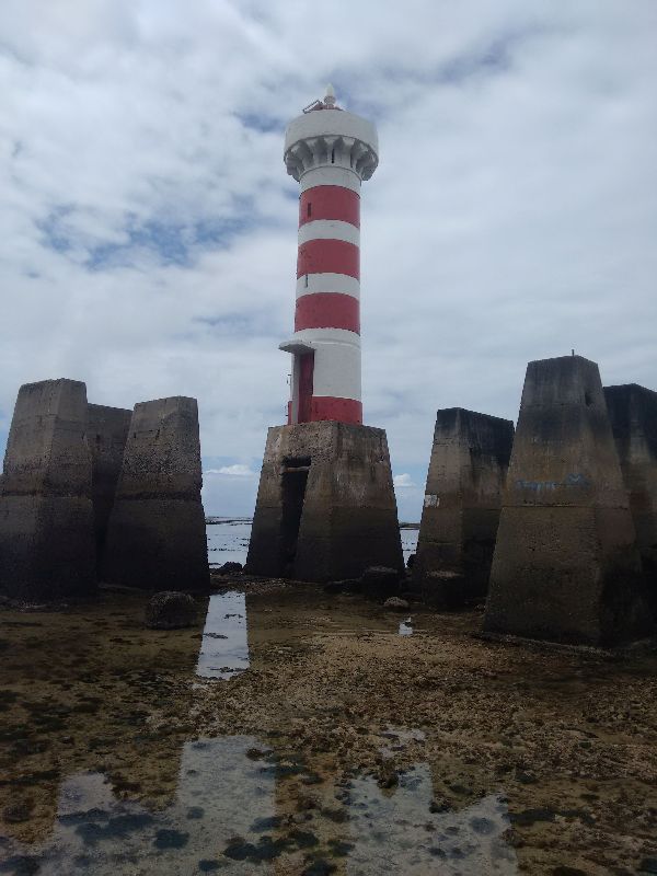 Foto 1 do Conto erotico: Mostrando a pica pros machos na praia