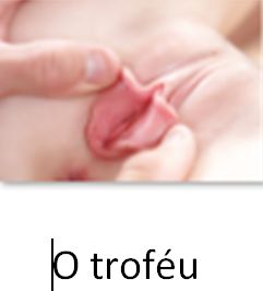 Foto 4 do Conto erotico: FUI O TROFÉU NO TORNEIO DE BILHAR último conto se não for votado dignamente
