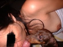 Foto 4 do Conto erotico: O PRIMEIRO DOG DELA....