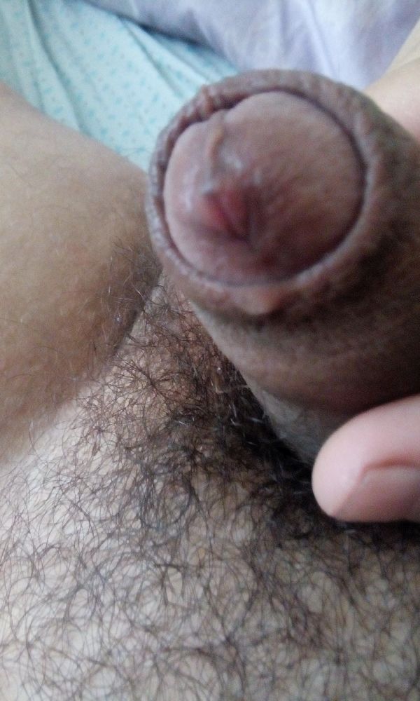 Foto 1 do Conto erotico: A Delícia Loira Baianinha