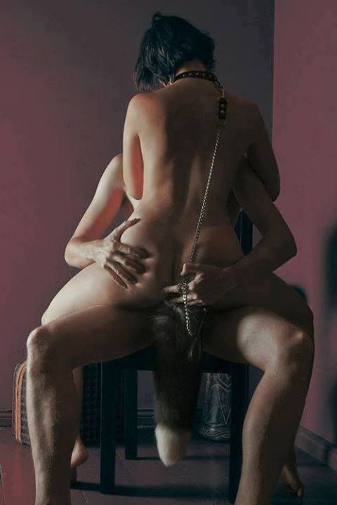 Foto 3 do Conto erotico: SANATORIUM (SEXUAL MAYHEM)