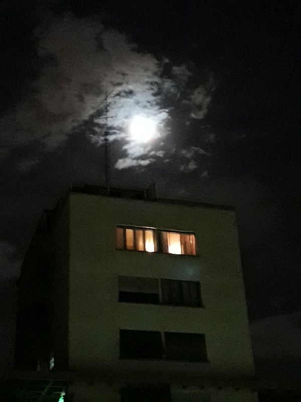 Foto 1 do Conto erotico: PANDEMIA!!! - CANÇÃO DOS SEPARADOS...
