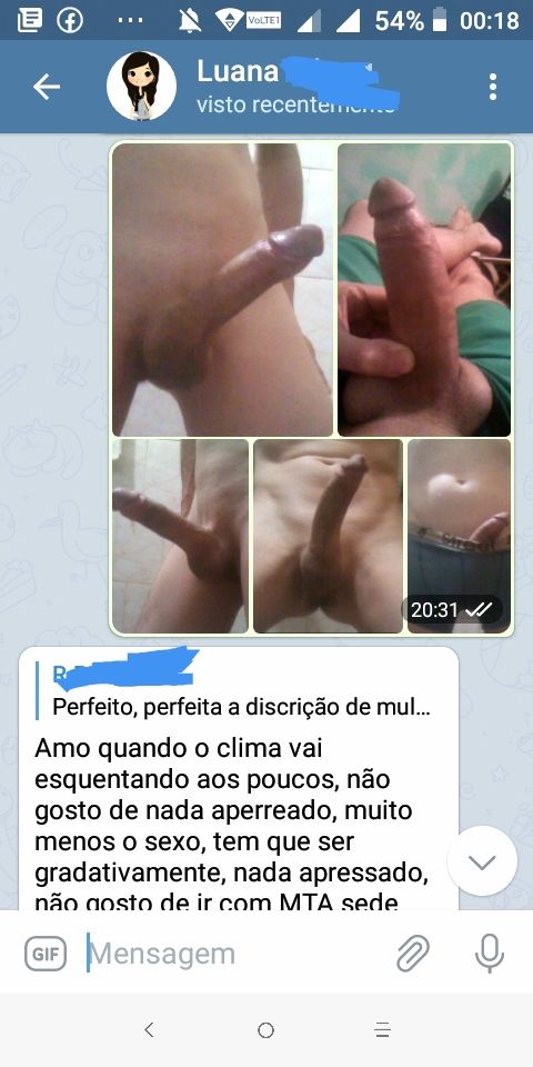 Foto 3 do Conto erotico: Dialogo quente e real com uma putinha no Telegram
