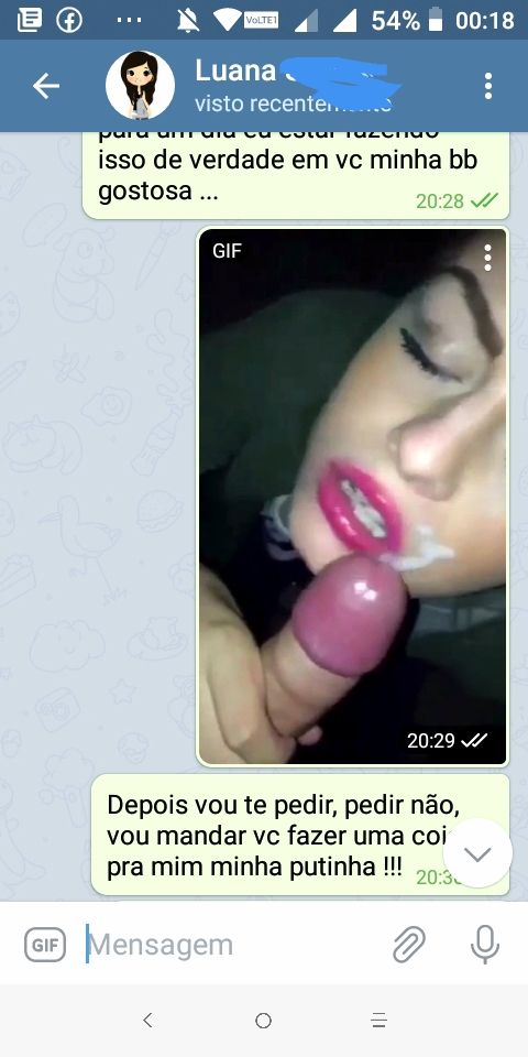 Foto 5 do Conto erotico: Dialogo quente e real com uma putinha no Telegram