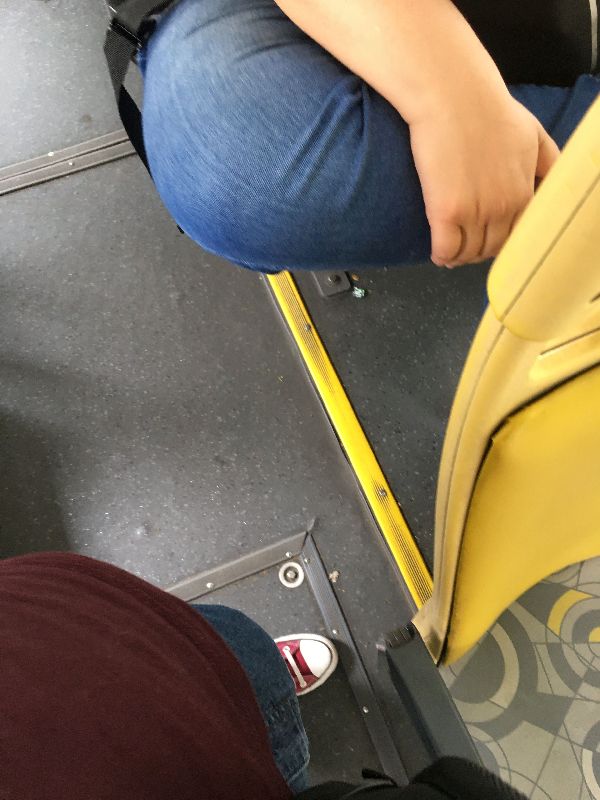 Foto 1 do Conto erotico: Punheta no ônibus pra pinheiros