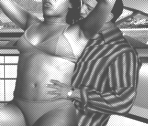 Foto 1 do Conto erotico: Serena e seu francês