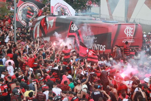 Foto 2 do Conto erotico: Sou vascaíno mas encoxei na passeata do flamengo kk