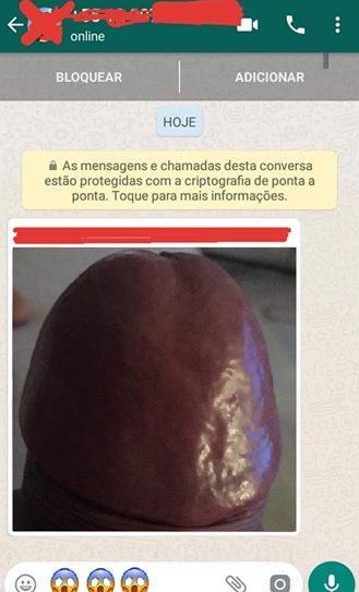 Foto 1 do Conto erotico: O cara me mandou a foto da cabeça da piroca no Whatsapp por engano