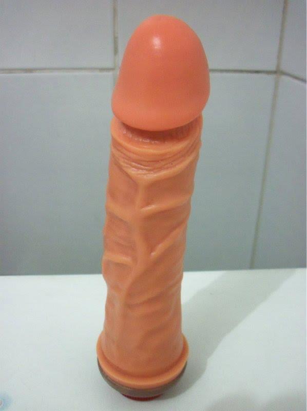 Foto 1 do Conto erotico: EMPRESTEI UM VIBRADOR PARA A NANA