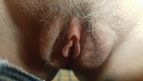 Foto 2 do Conto erotico: Minha Mãe, Meu Irmão e Meus Filhos, Todos Juntos