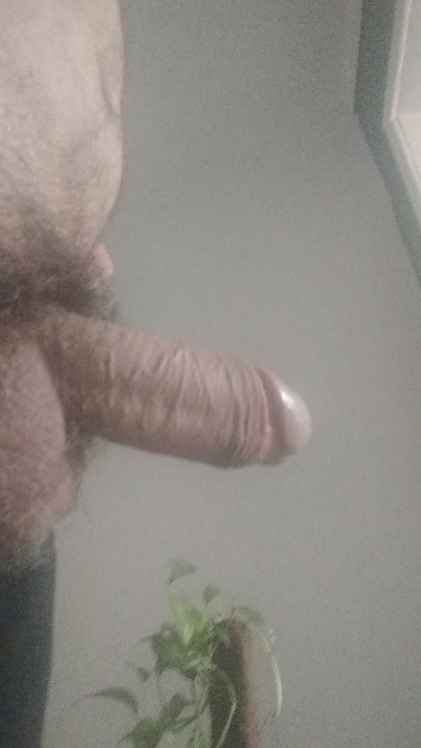 Foto 3 do Conto erotico: A primeira vez que chuparam meu pau