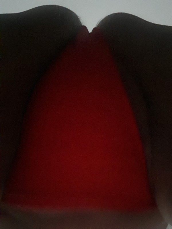 Foto 5 do Conto erotico: Vermelhinha tesão
