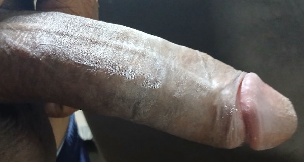 Foto 2 do Conto erotico: Minha cunhada japa, me chupou e bebeu todo leite