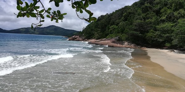 Foto 1 do Conto erotico: CONTINUAÇÃO (TERCEIRO DIA APÓS PERDER MINHA VIRGINDADE)
