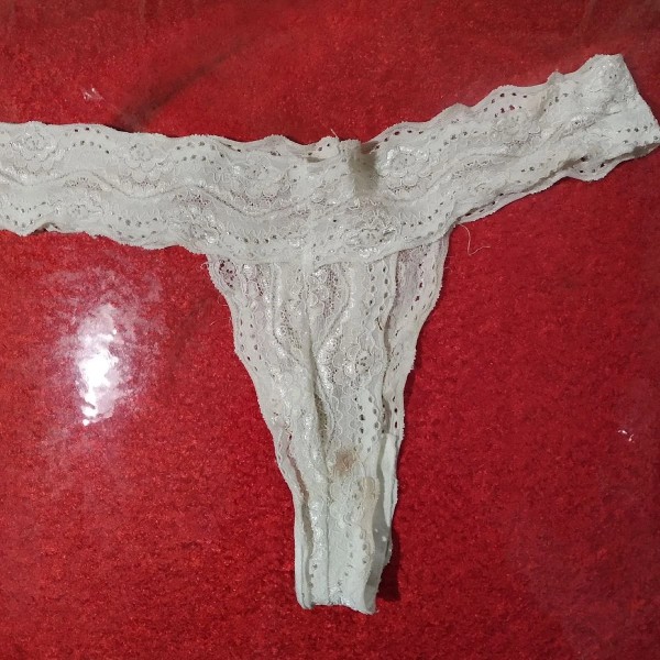 Foto 2 do Conto erotico: Cheirando calcinhas - Novo alvo vizinha dos fundos - PARTE 2