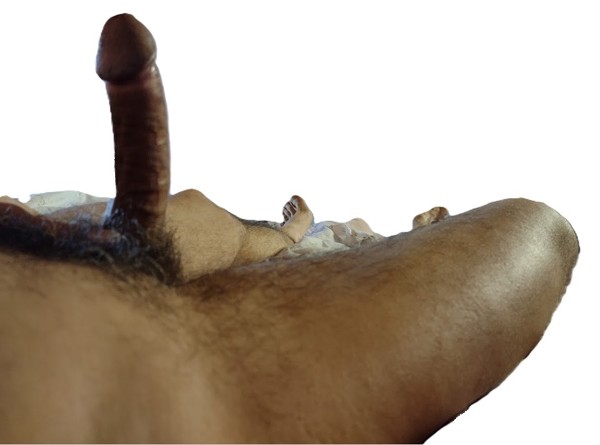 Foto 1 do Conto erotico: Como manter uma boa ereção de modo natural
