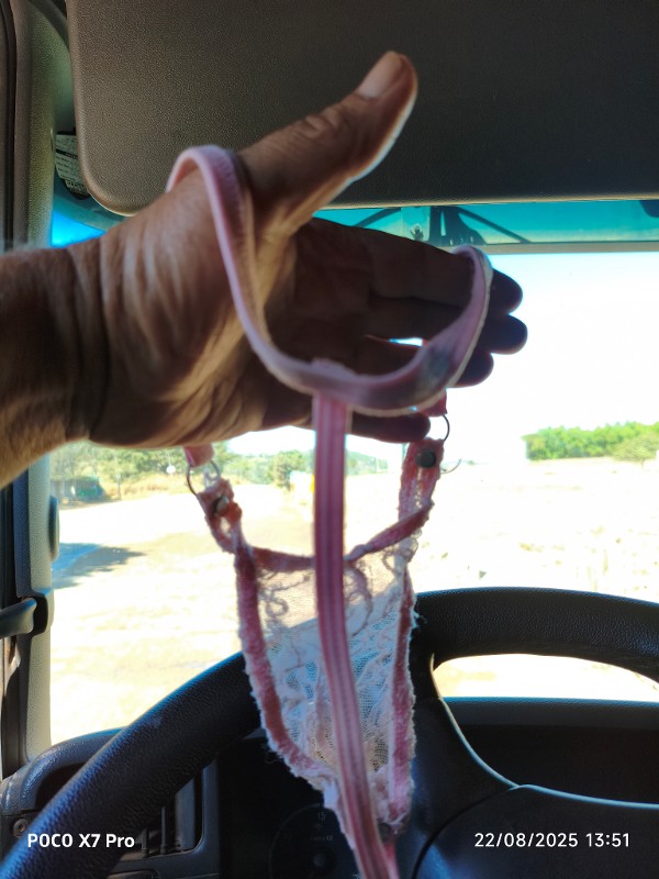 Foto 1 do Conto erotico: A calcinha fiozinho da minha filhinha