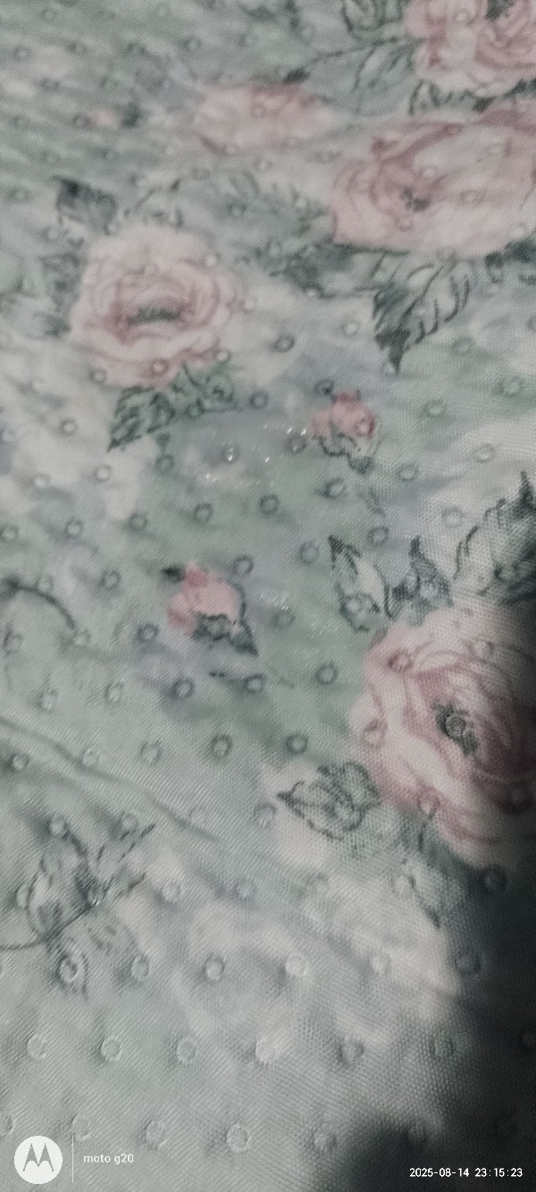 Foto 2 do Conto erotico: A volta do mel parte 2