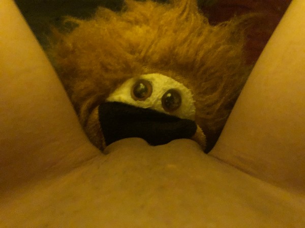 Foto 2 do Conto erotico: Eu, Teddy e meu plug anal.