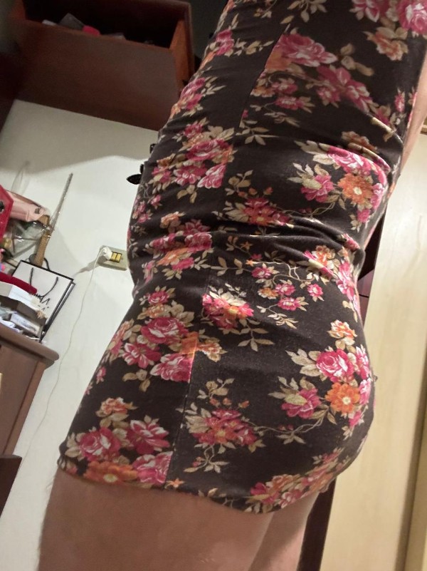 Foto 3 do Conto erotico: Vestidinho