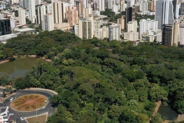 Foto 1 do Conto erotico: MINHA PRIMEIRA VEZ NO BOSQUE