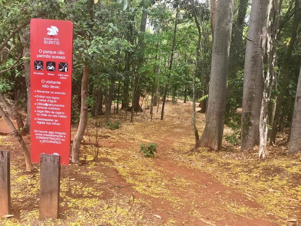 Foto 3 do Conto erotico: MINHA PRIMEIRA VEZ NO BOSQUE