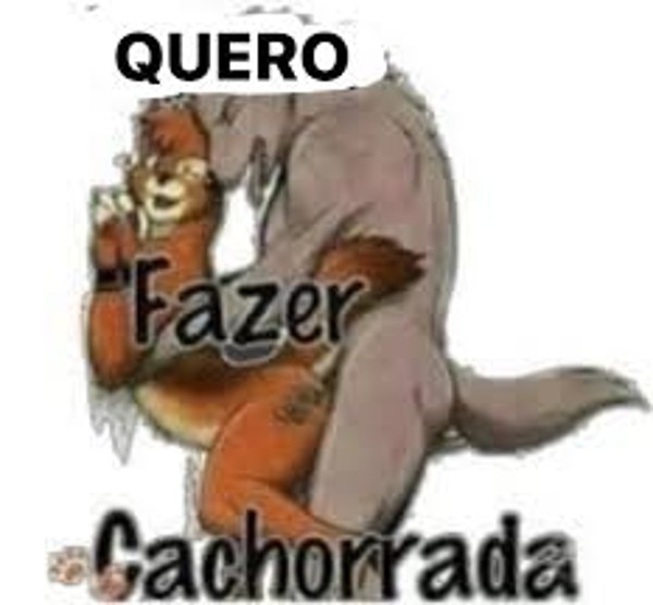 Foto 5 do Conto erotico: O dia que cheguei mais cedo e vi minha esposa com outro