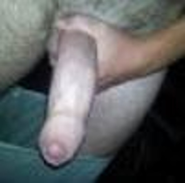 Foto 3 do Conto erotico: Meu sogro