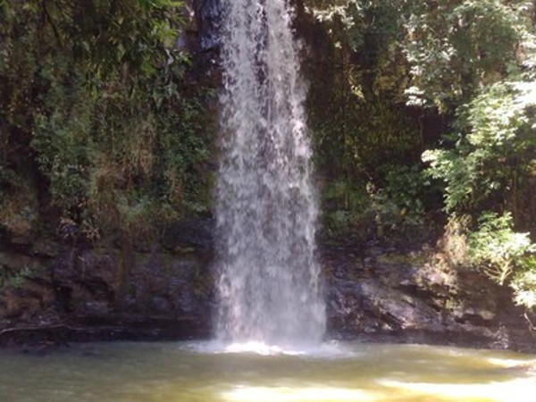 Foto 1 do Conto erotico: uma reserva do destino...