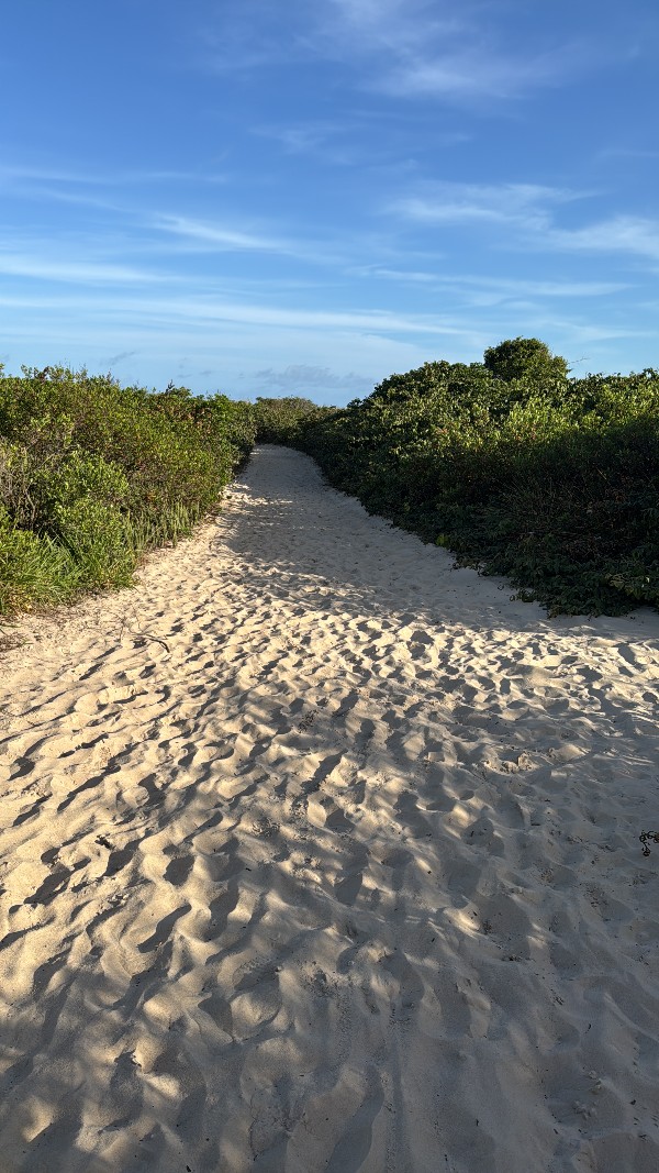 Foto 1 do Conto erotico: O Encontro na Praia: Uma rapidinha com Tony