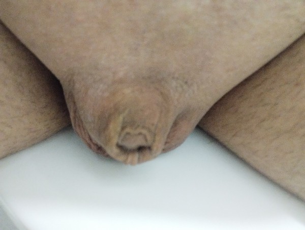 Foto 2 do Conto erotico: Corninho