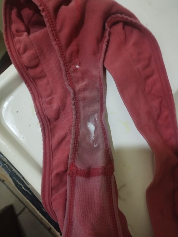 Foto 3 do Conto erotico: Cheirando a calcinha da minha mãe depois dela se masturba