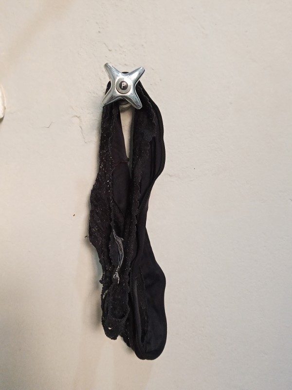 Foto 1 do Conto erotico: Minha sogra continua me provocando com suas calcinhas