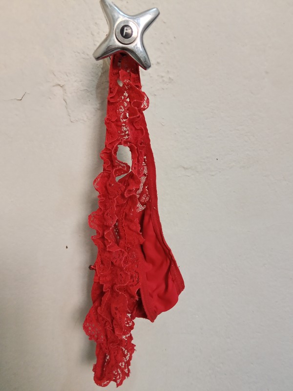 Foto 1 do Conto erotico: As calcinhas da minha sogra