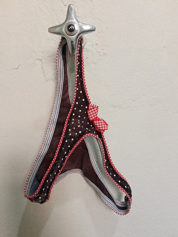 Foto 1 do Conto erotico: Minha sogra está me provocando?