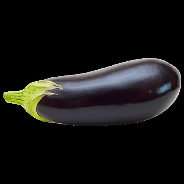 Foto 2 do Conto erotico: Sheila e Leila, a submissa