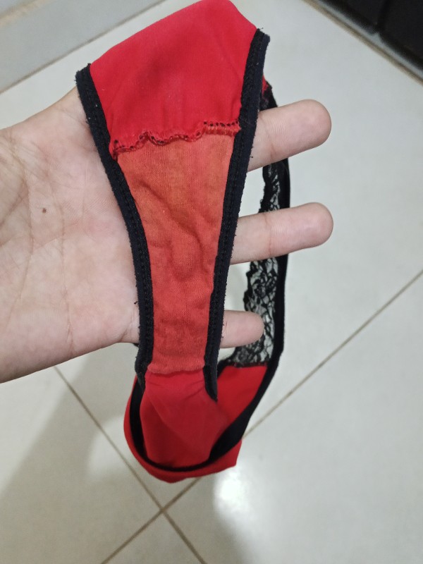 Foto 3 do Conto erotico: Minha sogra e suas calcinhas usadas