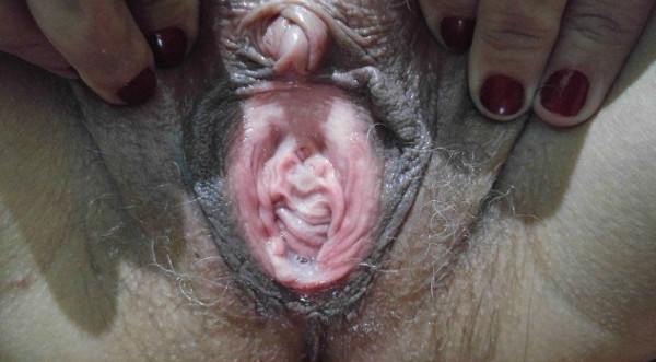 Foto 3 do Conto erotico: O Segredo do Genro e da Sogra - PARTE 2