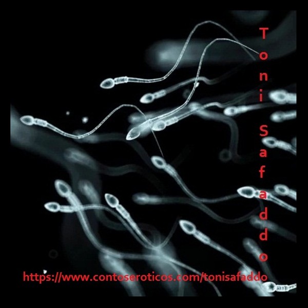 Foto 1 do Conto erotico: Tesão Anal