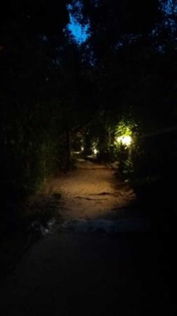 Foto 2 do Conto erotico: Crossdresser - Minha aventura na Ilha do Mel