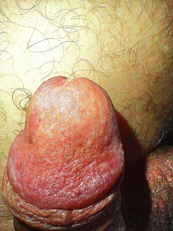 Foto 1 do Conto erotico: Visitando amigos