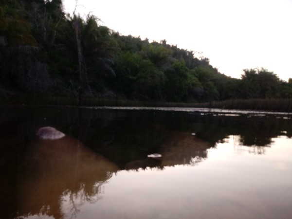 Foto 4 do Conto erotico: Lagoa do parque