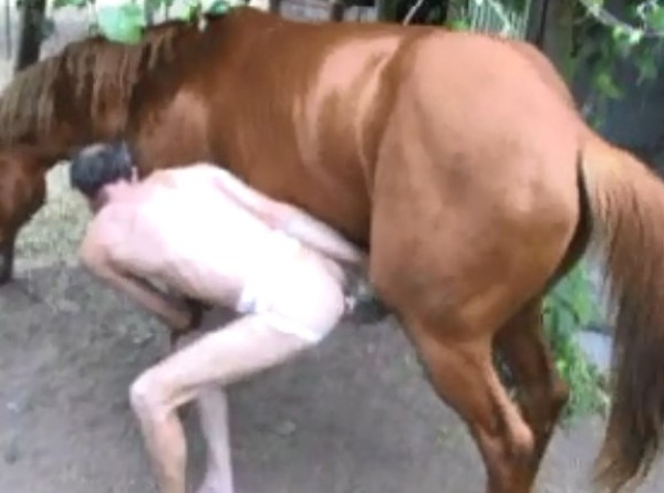 Foto 1 do Conto erotico: Cavalo comendo gostoso