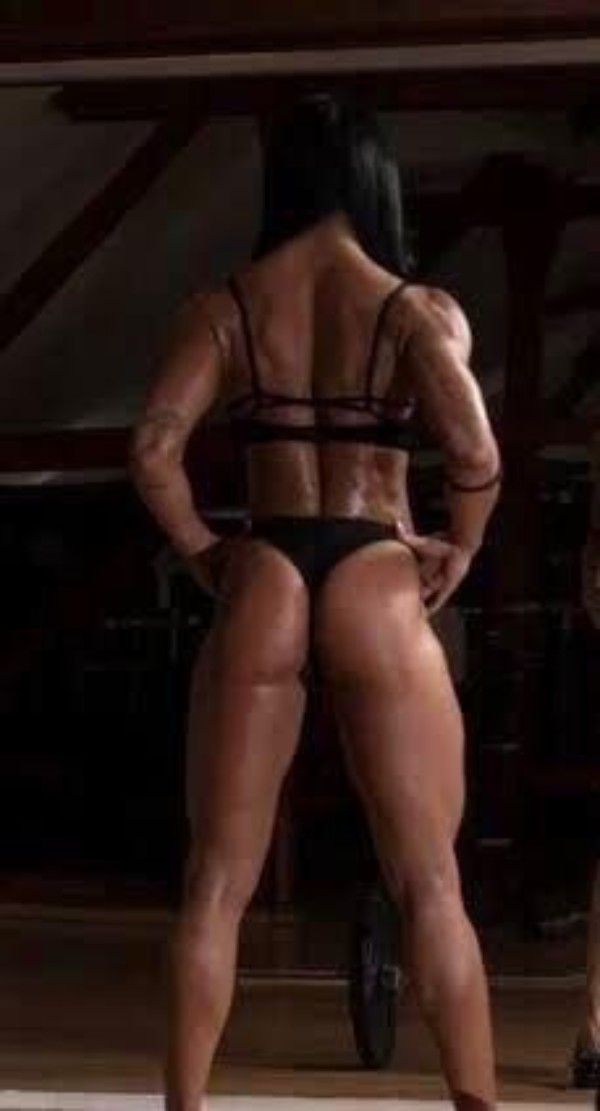 Foto 1 do Conto erotico: Sou a cadela Tufão