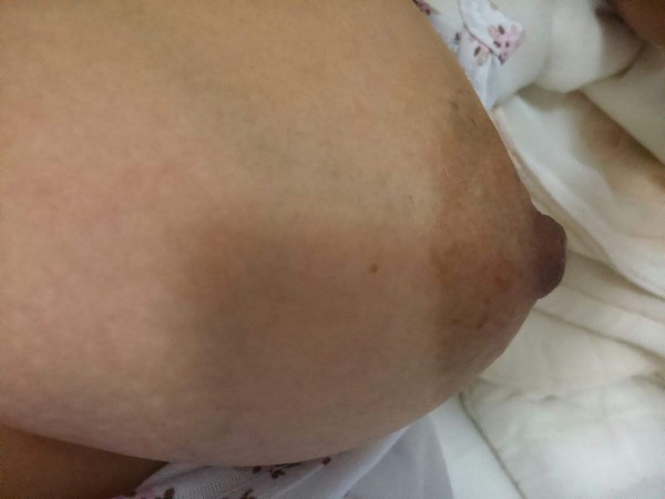 Foto 1 do Conto erotico: O Site Contos Eróticos permitiu conhecer um casal em Brasília