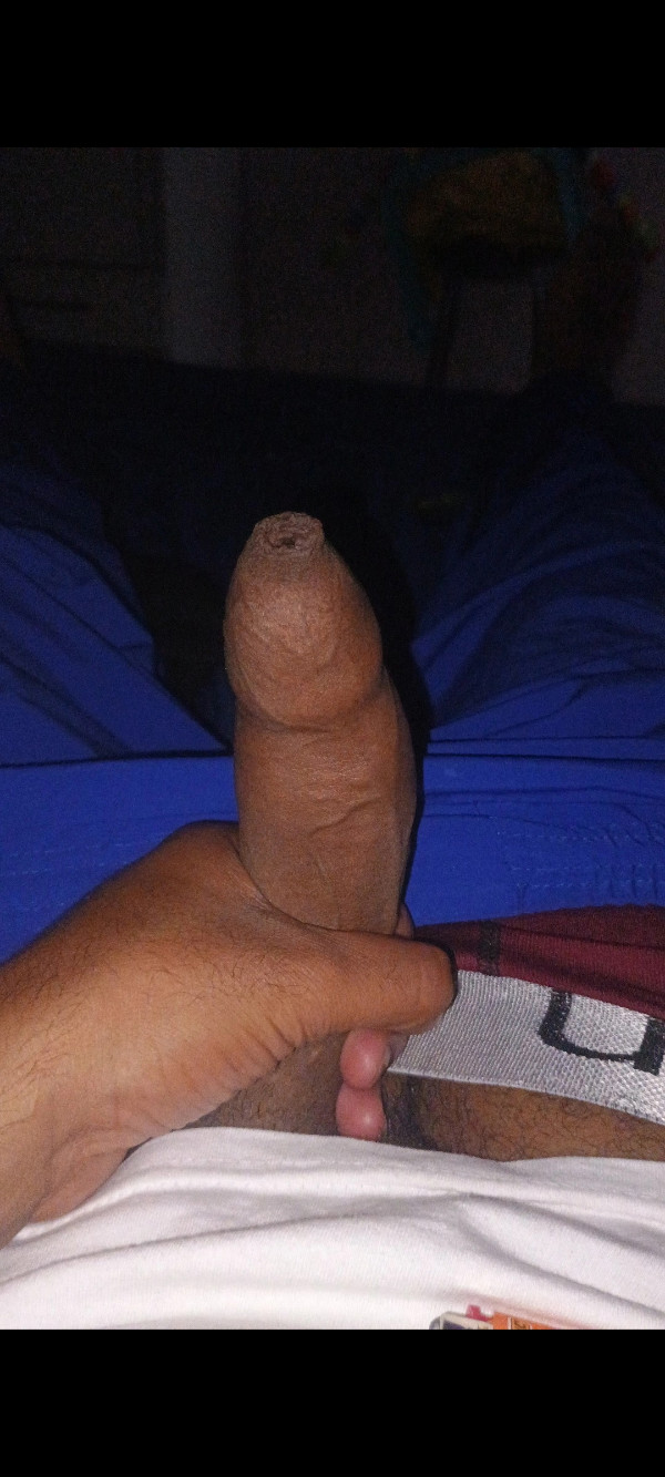 Foto 1 do Conto erotico: Trenzao sentido bras