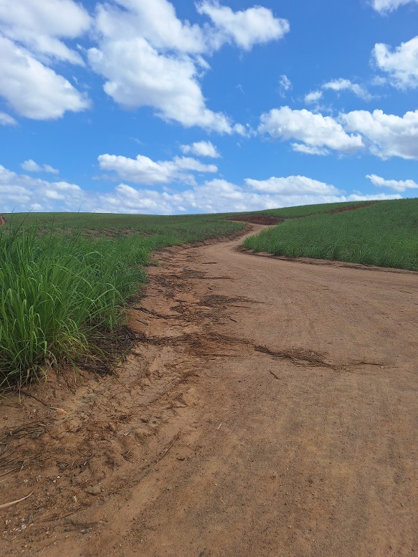 Foto 1 do Conto erotico: Um sexo no interior de Pernambuco.