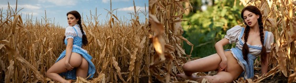 Foto 2 do Conto erotico: Dorothy na terra de Oz: Os sapatos de rubi tinham uma maldição, a da lascividade sem controle
