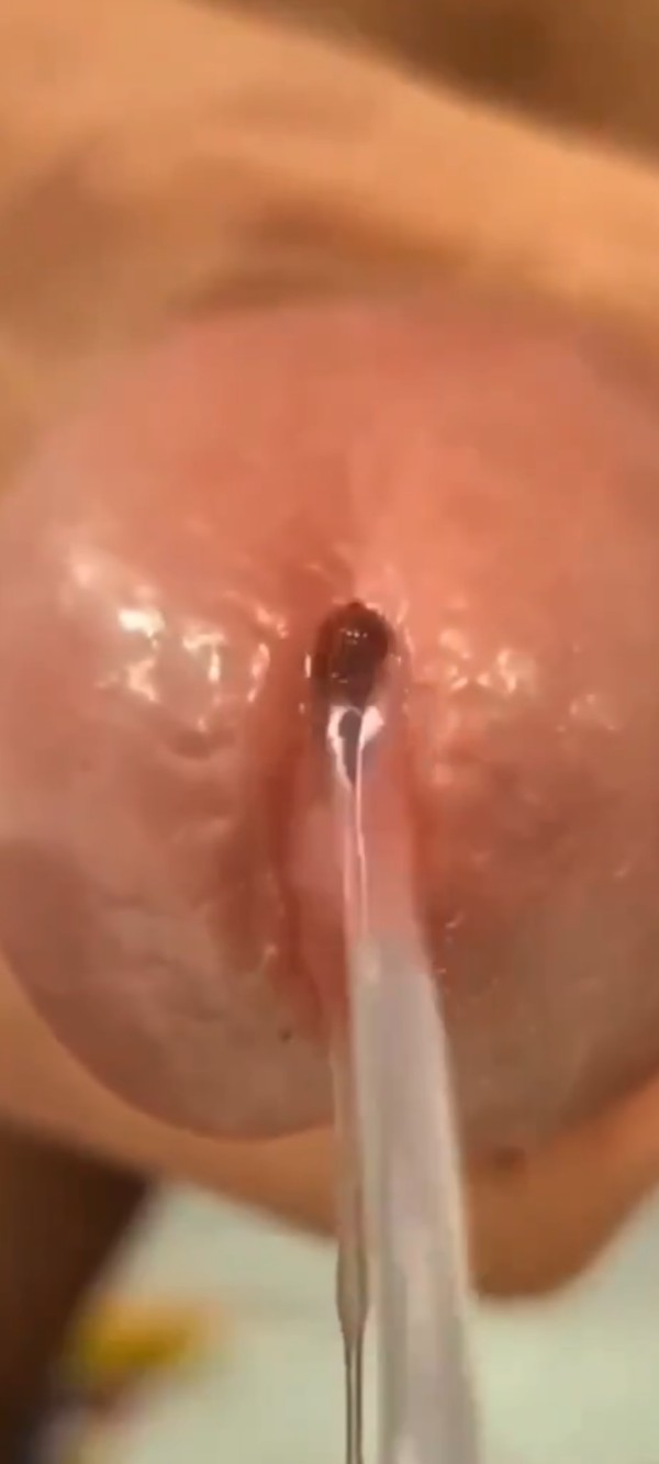 Foto 4 do Conto erotico: Cheguei agora em casa e o Esso já me catou kk adoro kk