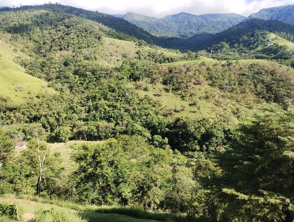 Foto 5 do Conto erotico: Fotos do Chalé comemorando aniversário